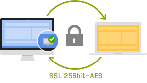SSL 256bit-AES